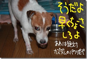 今日カズ１０１２１９　１