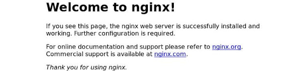 تثبيت Nginx على أبونتو 20.04