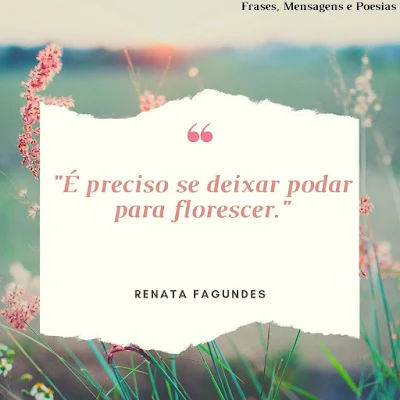 Frase de Renata Fagundes