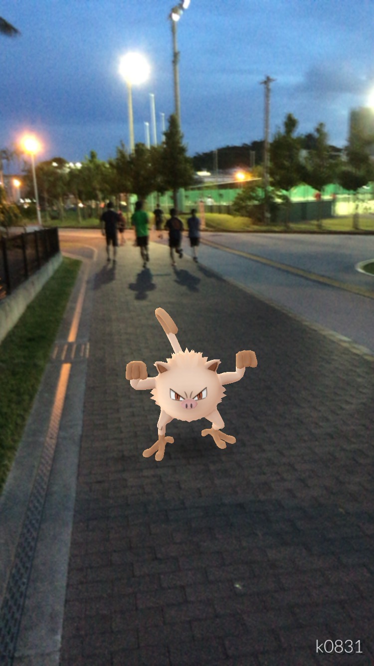 【ポケモンGo】Day13: 沖縄の人はポケモンよりもランニング