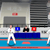 Games Taekwondo Online