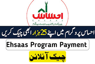 Ehsaas Program 25000 Online Registration 2023 Check Online