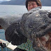 Terrifying Sea Creatures That Actually Exist