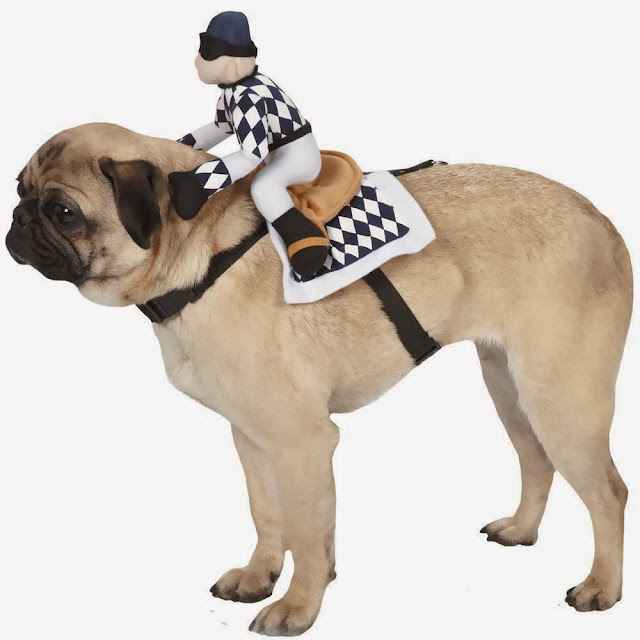 Halloween costume for dogs with harness and jockey