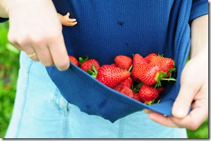 Strawberry Picking & Marcus band 078