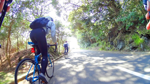 伊豆大島 自転車 一周