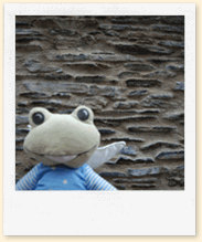mur