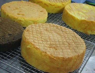Dibalik Spesial Cake Ada Lembutnya Sponge Cake  Akademi 