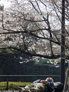 Taking a nap under the tree, Tokyo