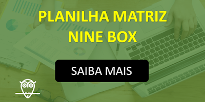 Planilha Matriz Nine Box de Avaliação de Desempenho em Excel