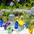 Wild flowers......