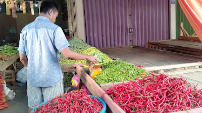 Pasca Idul Adha,Harga cabe merah di kabupaten Bungo perlahan normal