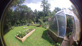 Backyard View of the Greenhouse