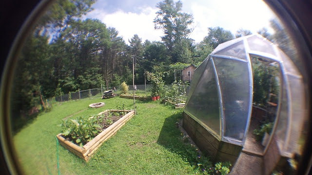 Backyard View of the Greenhouse