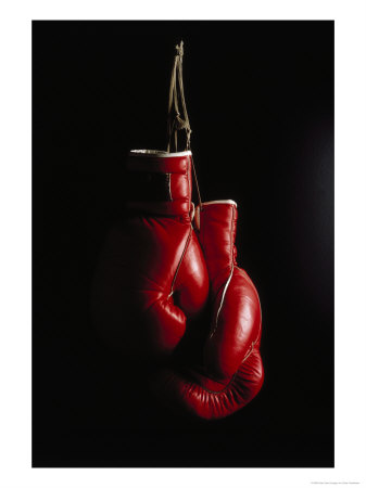 ernie fried lander hanging boxing gloves