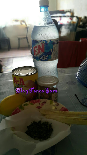 Blog Fieza Sani