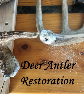 Deer Antler, Broken Repair, Restoration