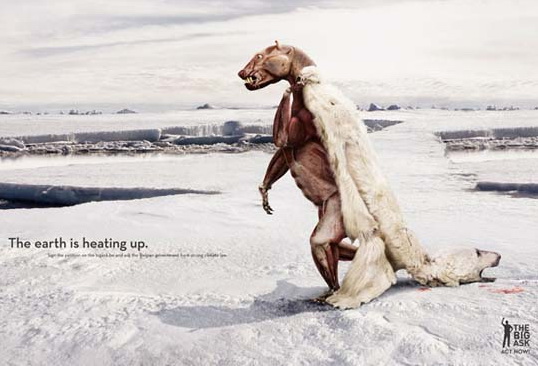 Funny Animal Ads