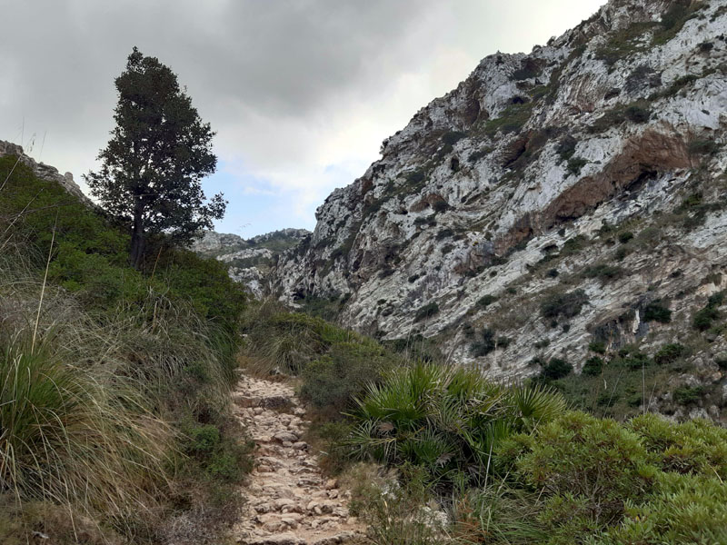 Sentiero che porta all'eremo di Betlém - Maiorca