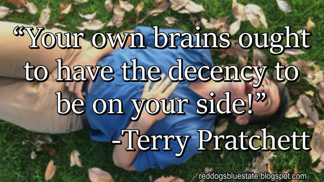 “Your own brains ought to have the decency to be on your side!” -Terry Pratchett