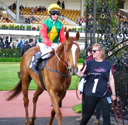 race 8 _mays dream 2