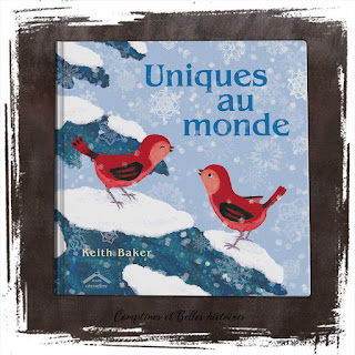 Uniques au monde, livre pour enfant sur l'acceptation de soi, être unique, décor hivernal plein de neige, Keith Baker, Editions Circonflexe