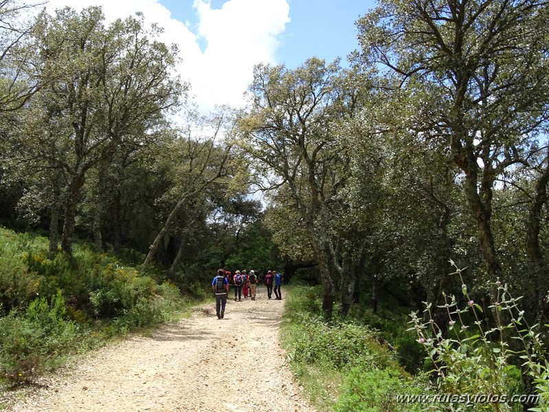 El Colmenar - Camino de los Arrieros - Puerto de los Peñones - Puerto de la Venta - Garganta de Los Charcones