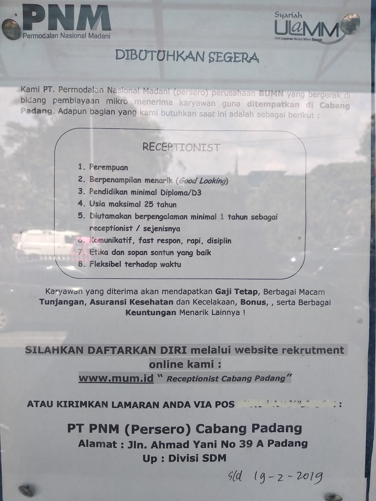 Lowongan Kerja PNM Cabang Padang : RECEPTIONIST !! - AdSanjaya