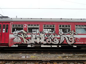 P. Gonzales