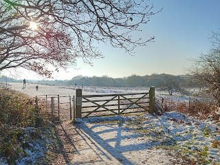 snowy Ditchling Common beyond a five bar gate