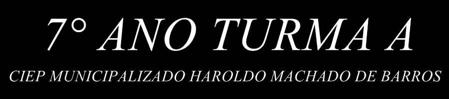7° ano turma a