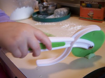 Curious Chef pizza cutter