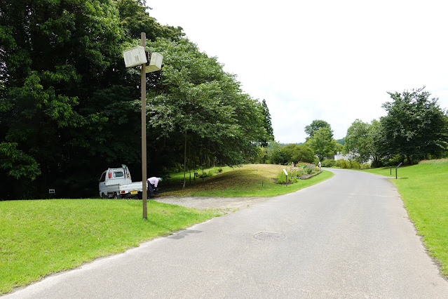 鳥取県西伯郡南部町鶴田　とっとり花回廊　花の丘