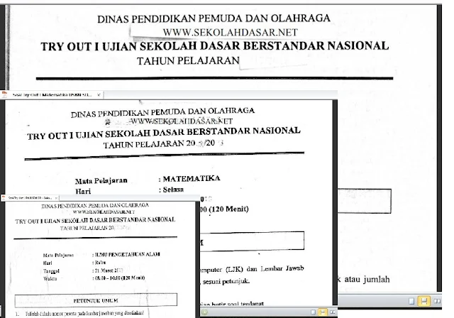 Soal Try Out I USBN SD/MI 2019 dan Kunci Jawabannya