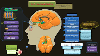 esquema-do-sentido-do-olfato