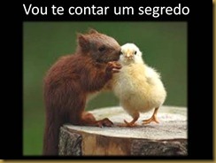 acao_reacao