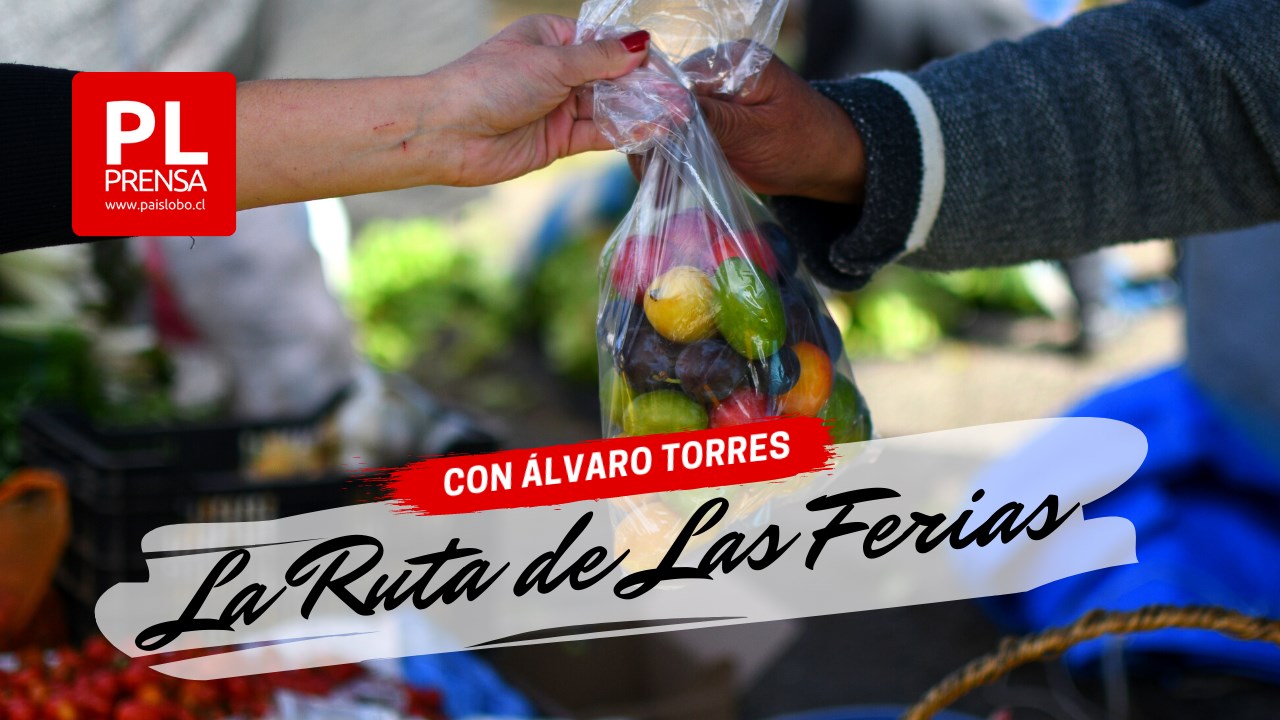 Ruta de la Ferias: sábado 21 de enero - Feria Rahue de Osorno