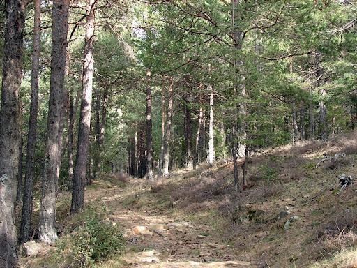 Senederismo: Xodos - Mas de Vela - Penyagolosa - Sant Joan