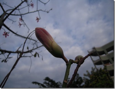 clip_image002