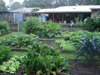 Abundance in the garden