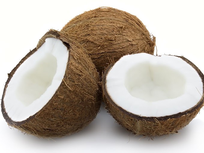 COCONUT OIL IN YOUR HOME, THE TREE OF LIFE!