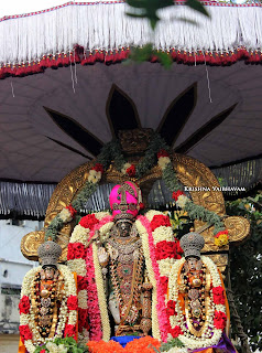 Sri Parthasarathy Perumal, Dhavana Utsavam, Thirumanjanam, Purappadu,  Triplicane,  Purappadu, Thiruvallikeni, Utsavam, 