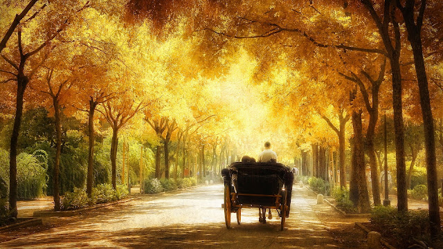 Romantic carriage ride HD Wallpaper