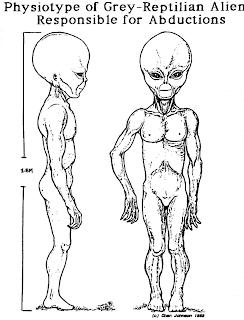 Physiotype of Grey-Reptilian Alien Responsible for Abductions [The picture has been taken from the Internet and does not directly belongs to the blog and the author in anyway.]