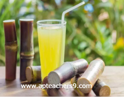 There are many benefits to sugarcane juice in the summer: వేసవిలో చెరుకు రసంతో ఎన్నో ప్రయోజనాలు 2022  benefits of sugarcane sexually sugarcane juice benefits for female sugarcane juice benefits and disadvantages benefits of sugarcane juice sugarcane juice is heat or cold for body benefits of sugarcane to woman sugarcane juice disadvantages benefits of sugarcane juice for weight loss side effects of tea on bones is green tea harmful for bones what kind of tea is good for osteoporosis is black tea good for bones tea and calcium absorption tea and osteoporosis is ginger tea good for osteoporosis green tea and calcium absorption spiritual benefits of walking barefoot 5 health benefits of walking barefoot benefits of walking barefoot on earth disadvantages of walking barefoot benefits of walking barefoot at home walking barefoot meaning benefits of walking barefoot on grass in the morning effects of walking barefoot on cold floor why hot food items should not be packed in polythene bags effects of eating high temperature food hot food in polythene bags 2 ways to never cool food hot food in plastic bags can cause cancer what happens if you drink hot and cold at the same time proper cooling methods for food what are three safe methods for cooling food? benefits of eating porridge everyday porridge benefits for skin benefits of eating porridge in the morning i ate oatmeal every morning for a month-here's what happened disadvantages of eating oats benefits of porridge for weight loss benefits of oats with milk benefits of eating porridge at night is taking a bath late at night dangerous bathing at night benefits taking a bath at night can cause anemia late night shower can cause death best time to bath at night advantages and disadvantages of taking a bath at night benefits of warm bath at night taking a bath at night is not good for your health brainly describe how we can keep ourselves fit and healthy simple health tips 10 tips for good health 100 health tips natural health tips health tips for adults health tips 2021 health tips of the day simple health tips for everyday living healthy tips simple health tips for students 100 simple health tips healthy lifestyle tips health tip of the week simple health tips for everyone simple health tips for everyday living 10 tips for a healthy lifestyle pdf 20 ways to stay healthy 5-minute health tips 100 health tips in hindi simple health tips for everyone 100 health tips pdf 100 health tips in tamil 5 tips to improve health natural health tips for weight loss natural health tips in hindi simple health tips for everyday living 100 health tips in hindi health in hindi daily health tips 10 tips for good health how to keep healthy body 20 health tips for 2021 health tips 2022 mental health tips 2021 heart health tips 2021 health and wellness tips 2021 health tips of the day for students fun health tips of the day mental health tips of the day healthy lifestyle tips for students health tips for women simple health tips 10 tips for good health 100 health tips healthy tips in hindi natural health tips health tips for students simple health tips for everyday living health tip of the week healthy tips for school students health tips for primary school students health tips for students pdf daily health tips for school students health tips for students during online classes mental health tips for students simple health tips for everyone health tips for covid-19 healthy lifestyle tips for students 10 tips for a healthy lifestyle healthy lifestyle facts healthy tips 10 tips for good health simple health tips health tips 2021 health tips natural health tips 100 health tips health tips for students simple health tips for everyday living 6 basic rules for good health 10 ways to keep your body healthy health tips for students simple health tips for everyone 5 steps to a healthy lifestyle maintaining a healthy lifestyle healthy lifestyle guidelines includes simple health tips for everyday living healthy lifestyle tips for students healthy lifestyle examples 10 ways to stay healthy 100 health tips 5 ways to stay healthy 10 ways to stay healthy and fit simple health tips simple health tips for everyday living health tips for students health tips in hindi beauty tips health tips for women health tips bangla health tips for young ladies 10 best health tips female reproductive health tips women's day health tips health tips in kannada women's health tips for heart, mind and body women's health tips for losing weight healthy woman body beauty tips at home beauty tips natural beauty tips for face beauty tips for girls beauty tips for skin beauty tips of the day top 10 beauty tips beauty tips hindi health tips for school students health tips for students during exams five ways of maintaining good health 10 ways to stay healthy at home ways to keep fit and healthy 6 tips to stay fit and healthy how to stay fit and healthy at home 20 ways to stay healthy ways to keep fit and healthy essay 5 ways to stay healthy essay 10 ways to stay healthy at home write five points to keep yourself healthy 5 ways to stay healthy during quarantine 10 tips for a healthy lifestyle healthy lifestyle essay unhealthy lifestyle examples 5 steps to a healthy lifestyle healthy lifestyle article for students talk about healthy lifestyle healthy lifestyle benefits healthy lifestyle for students in school healthy tips for school students importance of healthy lifestyle for students health tips for students during online classes health tips for students pdf health and wellness for students healthy lifestyle for students essay healthy lifestyle article for students 10 ways to stay healthy and fit ways to keep fit and healthy essay 6 tips to stay fit and healthy how to stay fit and healthy at home what are the best ways for students to stay fit and healthy how to keep body fit and strong on the basis of the picture given below,  how to be fit in 1 week write 10 rules for good health golden rules for good health health rules most important things you can do for your health how to keep your body healthy and strong five ways of maintaining good health mental health tips 2022 top 10 tips to maintain your mental health mental health tips for students self-care tips for mental health mental health 2022 fun activities to improve mental health 10 ways to prevent mental illness how to be mentally healthy and happy world heart day theme 2021 world heart day 2021 health tips news world heart day wikipedia world heart day 2020 world heart day pictures world heart day theme 2020 happy heart day 5 ways to prevent covid-19 best food for covid-19 recovery 10 ways to prevent covid-19 covid-19 health and safety protocols precautions to be taken for covid-19 covid-19 diet plan pdf safety measures after covid-19 precautions for covid-19 patient at home how to keep reproductive system healthy 10 ways in keeping the reproductive organs clean and healthy why is it important to keep your reproductive system healthy how to take care of your reproductive system male what are the proper ways of taking care of the female reproductive organs male ways of taking care of reproductive system ppt taking care of reproductive system grade 5 prevention of reproductive system diseases proper ways of taking care of the reproductive organs ways of taking care of reproductive system ppt how to take care of reproductive system male what are the proper ways of taking care of the female reproductive organs care of male and female reproductive organs? why is it important to take care of the reproductive organs the following are health habits to keep the reproductive organs healthy which one is care of male and female reproductive organs? what are the proper ways of taking care of the female reproductive organs ways of taking care of reproductive system ppt ways to take care of your reproductive system why is it important to take care of the reproductive organs taking care of reproductive system grade 5 how to take care of your reproductive system poster what are the proper ways of taking care of the female reproductive organs taking care of reproductive system grade 5 what are the proper ways of taking care of the male reproductive organs care of male and female reproductive organs? female reproductive system - ppt presentation female reproductive system ppt pdf reproductive system ppt anatomy and physiology reproductive system ppt grade 5 talk about healthy lifestyle cue card importance of healthy lifestyle importance of healthy lifestyle speech what is healthy lifestyle essay healthy lifestyle habits my healthy lifestyle healthy lifestyle essay 100 words healthy lifestyle short essay healthy lifestyle essay 150 words healthy lifestyle essay pdf benefits of a healthy lifestyle essay healthy lifestyle essay 500 words healthy lifestyle essay 250 words  precautions to be taken during winter season precautions to be taken for cold cold weather precautions for home how to stay healthy during winter season how to protect your body in winter season what things should we keep in mind to stay healthy in the winter  safety tips for winter season in india how to take care of yourself during winter seasonal diseases list seasonal diseases in india seasonal diseases and precautions seasonal diseases in telugu seasonal diseases in india pdf seasonal diseases pdf 4 seasonal diseases rainy season diseases and prevention 10 things not to do after eating i ate too much and now i want to vomit how to ease your stomach after eating too much how to digest faster after a heavy meal what to do after overeating at night how to detox after eating too much i ate too much today will i gain weight i don't feel good after i eat calcium fruits for bones fruits for bone strength how to increase bone strength naturally bone strengthening foods how to increase bone calcium best fruit juice for bones calcium-rich foods for bones vitamins for strong bones and joints black pepper uses and benefits how much black pepper per day benefits of eating black pepper empty stomach black pepper with hot water benefits side effects of black pepper benefits of black pepper and honey pepper benefits turmeric with black pepper benefits how to protect eyes from mobile screen naturally how to protect eyes from mobile screen during online classes glasses to protect eyes from mobile screen how to protect eyes from mobile and computer 5 ways to protect your eyes best eye protection mobile phone glasses to protect eyes from mobile screen flipkart how to protect eyes from computer screen can you die from eating too many almonds how many is too many almonds i eat 100 almonds a day symptoms of eating too many almonds almond skin dangers how many almonds should i eat a day why are roasted almonds bad for you how many almonds to eat per day for good skin amla for skin whitening amla for skin pigmentation how to use amla for skin can i apply amla juice on face overnight how to use amla powder for skin whitening amla face pack for pigmentation how to make amla juice for skin best amla juice for skin best n95 mask for covid n95 mask with filter n95 mask reusable best mask for covid where to buy n95 mask n95 mask price 3m n95 mask kn95 vs n95 how many dates to eat per day dates benefits sexually dates benefits for sperm benefits of dates for men benefits of khajoor for skin dates benefits for skin is dates good for cold and cough benefits of dates for womens how to cook mulberry leaves mulberry benefits mulberry leaves benefits for hair mulberry benefits for skin when to harvest mulberry leaves mulberry leaf extract benefits mulberry leaf tea benefits mulberry fruit side effects are recovered persons with persistent positive test of covid-19 infectious to others? if someone in your house has covid will you get it do i still need to quarantine for 14 days if i was around someone who has covid-19? how long will you test positive for covid after recovery what do i do if i’ve been exposed to someone who tested positive for covid-19? how long does coronavirus last in your system how long should i stay in home isolation if i have the coronavirus disease? positive covid test after recovery how to make coriander water can we drink coriander water at night how to make coriander water for weight loss coriander seed water side effects how to make coriander seeds water how to make coriander seeds water for thyroid coriander water for thyroid coriander leaves boiled water benefits 10 points on harmful effects of plastic 5 harmful effects of plastic harmful effects of plastic on environment harmful effects of plastic on environment in points how is plastic harmful to humans harmful effects of plastic on environment pdf single-use plastic effects on environment brinjal benefits and side effects disadvantages of brinjal brinjal benefits for skin brinjal benefits ayurveda brinjal benefits for diabetes uses of brinjal green brinjal benefits brinjal vitamins 10 ways to keep your heart healthy 5 ways to keep your heart healthy 13 rules for a healthy heart 20 ways to keep your heart healthy how to keep heart-healthy and strong heart-healthy foods heart-healthy lifestyle healthy heart symptoms daily massage with mustard oil mustard oil disadvantages benefits of mustard oil for skin why mustard oil is not banned in india benefits of mustard oil massage on feet benefits of mustard oil in cooking mustard oil massage benefits mustard oil benefits for brain side effects of mint leaves lungs cleaning treatment benefits of drinking mint water in morning mint leaves steam for face lungs cleaning treatment for smokers benefits of mint leaves how to use ginger for lungs how to clean lungs in 3 days Carrot juice benefits in telugu 17 benefits of mustard seed 5 uses of mustard 10 uses of mustard how much mustard should i eat a day mustard seeds side effects benefits of chewing mustard seed dijon mustard health benefits is mustard good for your stomach Benefits of Vaseline on face Vaseline on face overnight before and after Vaseline petroleum jelly for skin whitening 100 uses for Vaseline Does Blue Seal Vaseline lighten the skin Vaseline uses for skin 19 unusual uses for Vaseline Effect of petroleum jelly on lips barley pests and diseases how to use barley for diabetes diseases of barley ppt how to use barley powder barley benefits and side effects barley disease control barley diseases integrated pest management of barley how to sleep better at night naturally good sleep habits food for good sleep tips on how to sleep through the night how to get a good night sleep and wake up refreshed how to sleep fast in 5 minutes how to sleep through the night without waking up how to sleep peacefully without thinking how to use turmeric to boost immune system turmeric immune booster recipe turmeric immune booster shot raw turmeric vs powder 10 serious side effects of turmeric raw turmeric powder best time to eat raw turmeric raw turmeric benefits for liver best antibiotic for cough and cold name of antibiotics for cough and cold best medicine for cold and cough best antibiotic for cold and cough for child best tablet for cough and cold in india best cold medicine for runny nose cold and cough medicine for adults best cold and flu medicine for adults moringa leaf powder benefits what happens when you drink moringa everyday? side effects of moringa list of 300 diseases moringa cures pdf how to use moringa leaves what sickness can moringa cure how long does it take for moringa to start working can moringa cure chest pain how to use aloe vera to lose weight rubbing aloe vera on stomach how to prepare aloe vera juice for weight loss best time to drink aloe vera juice for weight loss how to use forever aloe vera gel for weight loss aloe vera juice weight loss stories how much aloe vera juice to drink daily for weight loss benefits of eating oranges everyday benefits of eating oranges for skin benefits of eating orange at night orange benefits and side effects benefits of eating orange in empty stomach orange benefits for men how many oranges a day to lose weight how many oranges should i eat a day is orthostatic hypotension dangerous orthostatic hypotension symptoms causes of orthostatic hypotension orthostatic hypotension in 20s orthostatic hypotension treatment orthostatic hypotension test how to prevent orthostatic hypotension orthostatic hypotension treatment in elderly what will happen if we drink dirty water for class 1 what are the diseases associated with water? which water is safe for drinking dangers of tap water 5 dangers of drinking bad water what happens if you drink contaminated water what to do if you drink contaminated water 5 ways to make water safe for drinking how long before bed should you turn off electronics side effects of using phone at night does screen time affect sleep in adults sleeping with phone near head why you shouldn't use your phone before bed screen time before bed research adults screen time doesn't affect sleep using phone at night bad for eyes how many tulsi leaves should be eaten in a day how to cure high blood pressure in 3 minutes tulsi leaves side effects tricks to lower blood pressure instantly what happens if we eat tulsi leaves daily high blood pressure foods to avoid what to drink to lower blood pressure quickly how to consume tulsi leaves why am i sleeping too much all of a sudden i sleep 12 hours a day what is wrong with me oversleeping symptoms causes of oversleeping how to recover from sleeping too much oversleeping effects is 9 hours of sleep too much why am i suddenly sleeping for 10 hours side effects of eating raw curry leaves how many curry leaves to eat per day benefits of curry leaves for hair curry leaves health benefits benefits of curry leaves boiled water curry leaves benefits and side effects how to eat curry leaves curry leaves benefits for uterus side effects of drinking cold water symptoms of drinking too much water does drinking cold water cause cold drinking cold water in the morning on an empty stomach does drinking cold water increase weight disadvantages of drinking cold water in the morning is drinking cold water bad for your heart effect of cold water on bones food for strong bones and muscles indian food for strong bones and muscles list five foods you can eat to build strong, healthy bones. medicine for strong bones and joints 2 factors that keep bones healthy Top 10 health benefits of dates Health benefits of dates Dry dates benefits for male Soaked dates benefits Dry dates benefits for female silver water benefits how much colloidal silver to purify water silver in water purification silver in drinking water health benefit of drinking hard water what is silver water silver ion water purifier colloidal silver poisoning how i cured my lower back pain at home how to relieve back pain fast how to cure back pain fast at home back pain home remedies drink how to cure upper back pain fast at home female lower back pain treatment what is the best medicine for lower back pain? one stretch to relieve back pain side effects of drinking salt water why is drinking salt water harmful benefits of drinking warm water with salt in the morning benefits of drinking salt water salt water flush didn't make me poop himalayan salt detox side effects when to eat after salt water flush 10 uses of salt water side effects of carbonated drinks harmful effects of soft drinks wikipedia disadvantages of soft drinks in points drinking too much pepsi symptoms drinking too much coke side effects effects of carbonated drinks on the body side effects of drinking coca-cola everyday harmful effects of soft drinks on human body pdf what happens if you don't breastfeed your baby baby feeding mother milk breastfeeding mother 14 risks of formula feeding is bottle feeding safe for newborn baby negative effects of formula feeding are formula-fed babies healthy breastfeeding vs bottle feeding breast milk what is the best cream for deep wrinkles around the mouth best anti aging cream 2021 scientifically proven anti aging products best anti aging cream for 40s what is the best wrinkle cream on the market? best anti aging cream for 30s best treatment for wrinkles on face best anti aging skin care products for 50s carbonated soft drinks market demand for soft drinks trends in carbonated soft drink industry carbonated soft drink market in india cold drink sales statistics soft drink sales 2021 soda industry market share of soft drinks in india 2021 how much tomato to eat per day 10 benefits of tomato eating tomato everyday benefits benefits of eating raw tomatoes in the morning disadvantages of eating tomatoes why are tomatoes bad for your gut eating tomato everyday for skin disadvantages of eating raw tomatoes green peas benefits for skin green peas benefits for weight loss green peas side effects green peas benefits for hair benefits of peas and carrots green peas calories green peas protein per 100g dry peas benefits benefits of walnuts for females benefits of walnuts for skin benefits of walnuts for male 15 proven health benefits of walnuts benefits of almonds how many walnuts to eat per day walnut benefits for sperm soaked walnuts benefits 5 health benefits of walking barefoot spiritual benefits of walking barefoot dangers of walking barefoot benefits of walking barefoot at home disadvantages of walking barefoot is walking barefoot at home bad benefits of walking barefoot on grass in the morning walking barefoot meaning how to cure asthma forever how to prevent asthma how to prevent asthma attacks at night asthma prevention diet what causes asthma how to stop asthmatic cough what is the best treatment for asthma how to avoid asthma triggers at home amaranth leaves side effects thotakura juice benefits thotakura benefits in telugu amaranth benefits amaranth benefits for skin amaranth benefits for hair red amaranth leaves side effects amaranth leaves iron content skin diseases list with pictures 5 ways of preventing skin diseases 10 skin diseases blood test for hair loss female symptoms of skin diseases common skin diseases hair loss after covid treatment and vitamins what do dermatologists prescribe for hair loss pomegranate benefits for female benefits of pomegranate for skin benefits of pomegranate seeds pomegranate benefits for men benefits of pomegranate juice how much pomegranate juice per day pomegranate juice side effects benefits of pomegranate leaves disadvantages of jaggery 33 health benefits of jaggery how much jaggery to eat everyday benefits of jaggery water vitamins in jaggery dark brown jaggery benefits jaggery benefits for sperm jaggery benefits for male