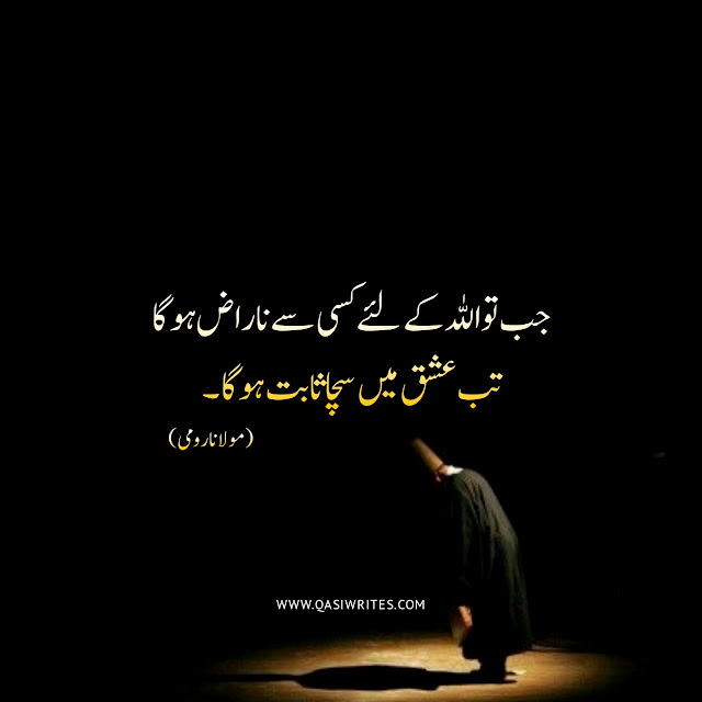 Maulana Rumi Best Quotes in Urdu | Deep Sufi Quotes - Qasiwrites