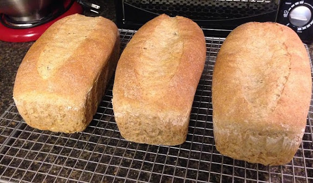 Sourdough loaves