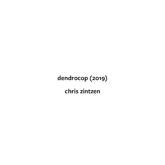 Dendrocopos major © Chris Zintzen | panAm productions