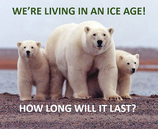 Arctic Extinction