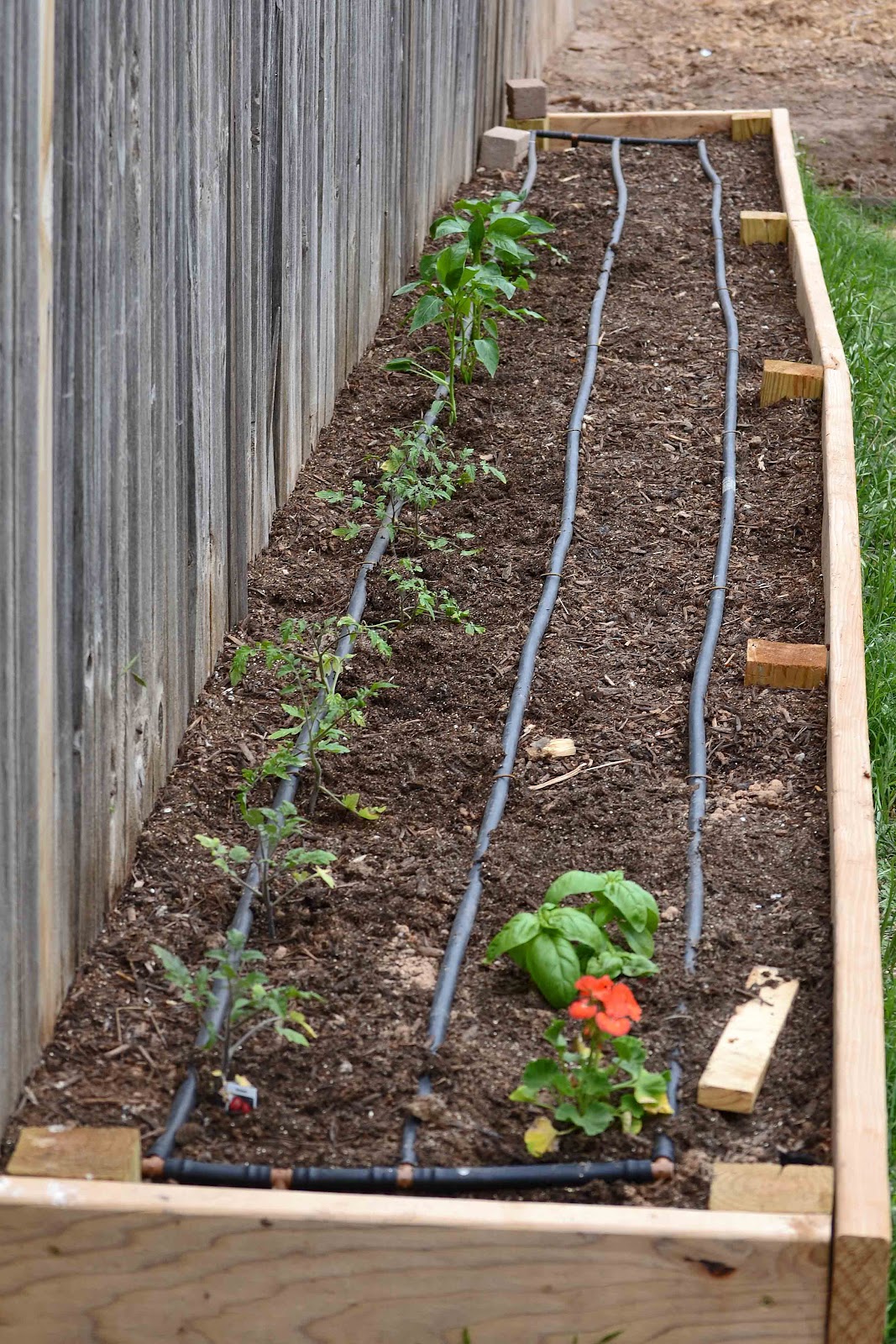 Babblings and More: Square Foot Garden- Planting and Irrigation